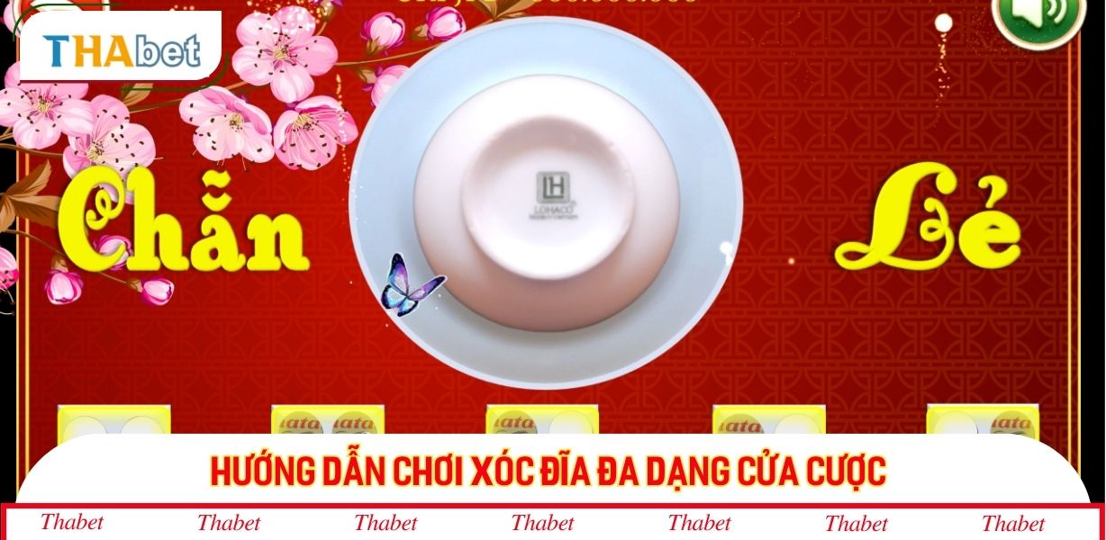 Hướng dẫn chơi xóc đĩa đa dạng cửa cược 